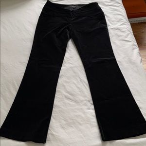 GUCCI black velvet pants